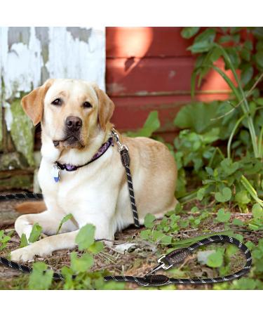 Premium Adjustable Dog Leash for Large & Medium Dogs | 3m1 with Reflective Stripes & Double Linen Reinforcement - Buy Online on GoSupps.com