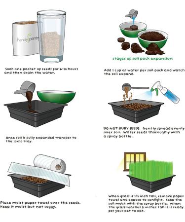 Organic Cat Grass Kit - 3 Trays, Soil Pucks & Non GMO Wheatgrass Seeds - Healthy Treat for Cats, Dogs, Rabbits & More - Buy Online on GoSupps.com