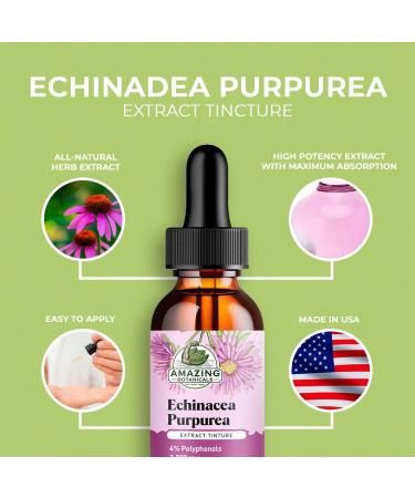 Amazing Botanicals Echinacea Purpurea Extract Tincture - 3,000mg Herbal Liquid Supplement Extract for Immune System Support - High Strength Formula with Natural Antioxidant for Overall Wellbeing - Buy Online on GoSupps.com