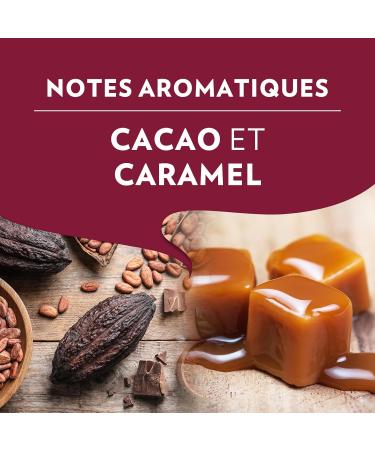 Lavazza Tales of Napoli Coffee Beans 1.5 kg for Automatic Coffee Machines Cocoa and Caramel Notes Arabica and Robusta  - Buy Online on GoSupps.com