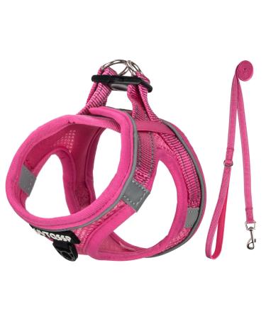 Dog Harness Small Dogs Rose Padded Puppy Harness Dog Harness Harness Dogs Small XXS XXS Rose - Buy Online on GoSupps.com