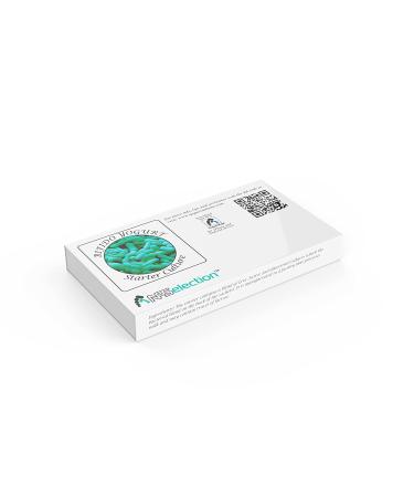 Yogurt Starter Cultures - Pack of 10 Freeze-dried Bifido Yogurt Sachets for Homemade Yogurt - 10 Count - Buy Online on GoSupps.com
