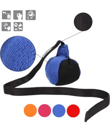 Dingo Gear 9 cm Training Toy Ball - Black & Blue with 65 cm Handle | French Nylcott IGP Obedience Game - Small Ball for Dogs - Buy Online on GoSupps.com