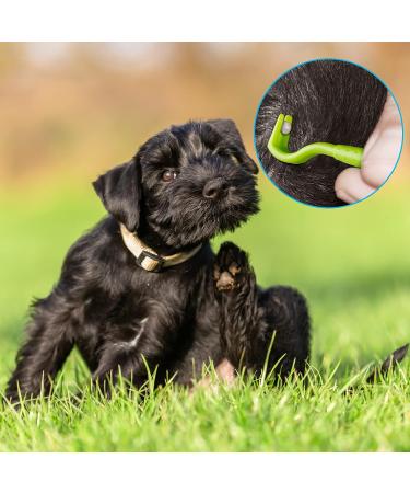 Kiiwah 6pcs Tick Remover Tool Set for Humans and Pets - Stainless Steel Tick Tweezers and Plastic Tick Hook in Storage Box - Buy Online on GoSupps.com