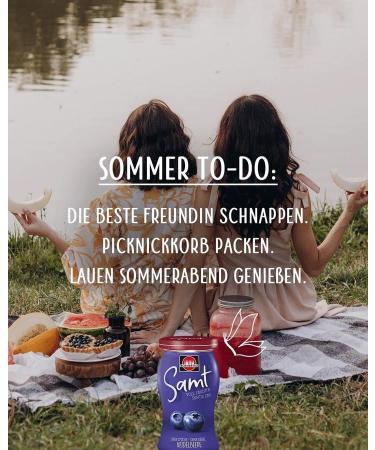 Schwartau Samt Blueberry Fruit Spread - Seedless & Piece-Free 270g | Buy Now for International Shipping - Buy Online on GoSupps.com