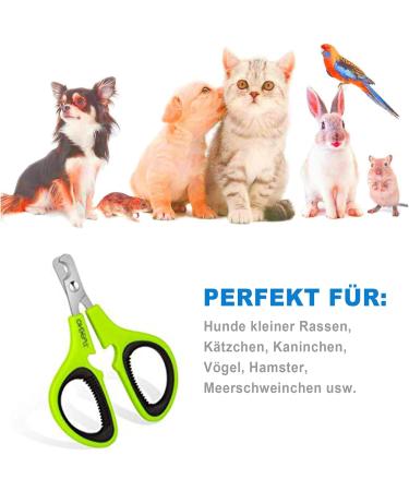 OneCut Claw Scissors for Cats Dogs & Rabbits - Non-Slip Nail Trimmers for Easy Claw Grooming (Green) - Buy Online on GoSupps.com