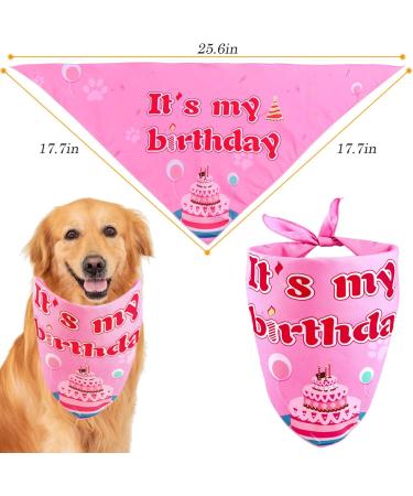 Dog Girl Birthday Party Set: Bandanas, Hat, Scarf, Banner, Balloons & Bowtie - Puppy Dog Pals Decorations - Pink - Buy Online on GoSupps.com
