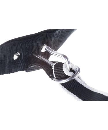 Trekking Belt by Nonstop | Running & Jogging Belt for Dogs (M Blue) - Ideal Hiking Accessory - Buy Online on GoSupps.com