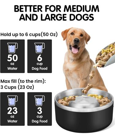 PETTOM Stainless Steel Dog Bowls - Durable Black Pet Food and Water Bowls - Buy Online on GoSupps.com