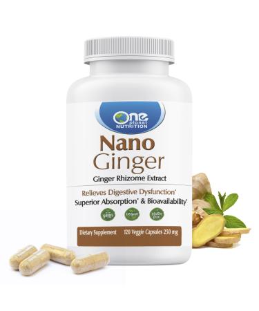 One Planet Nutrition Nano Ginger Root 250 mg Veggie Capsules (120 Servings) Pure Ginger Root Extract Nano for Superior Absorption Enhances Digestive Health Non-GMO Vegan Gluten Free