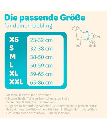 Dog is K nig Male Dog Diapers - 3 Pack Washable Eco-Friendly Incontinence Diapers for Comfortable Fit (S: 32-38cm) - Easy to Clean Strong Suction - Black Blue Green - Buy Online on GoSupps.com