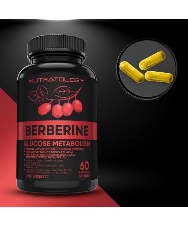 Berberine Supplement - Max Potency 500MG Per Capsule - Supports Glucose Metabolism - Healthy Blood Sugar Levels Through Efficient Metabolism Of Glucose (Sugar) And Lipids (Fats) - 60 Capsules 60 count (Pack of 1) - Buy Online on GoSupps.com