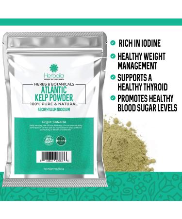 Kelp Powder 1 Lb - Natural Iodine Supplement (High Fiber) - 100% Pure Raw Seaweed Extract from Canada - Non-GMO, Gluten-free & Kosher - Buy Online on GoSupps.com