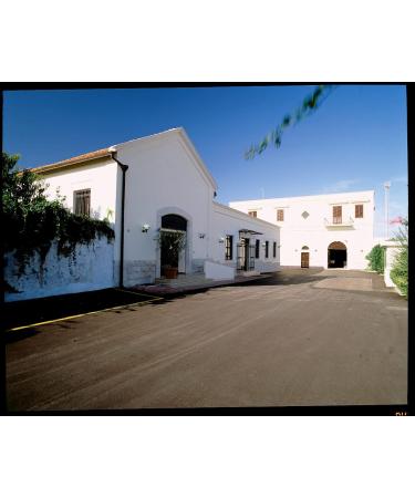  Galantino Ceramic orchestra hand-painted "fantasy green" with extra virgin olive oil - 500 ml - Galantine - Buy Online on GoSupps.com