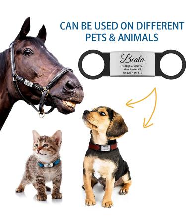 Custom Engraved Stainless Steel Slide-On Pet ID Tags - 2 Pack, Large Silver - Buy Online on GoSupps.com