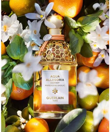 GUERLAIN Aqua Allegoria Harvest Mandarine Basilic Eau De Toilette Spray for Women 4.2 Ounce - Buy Online on GoSupps.com