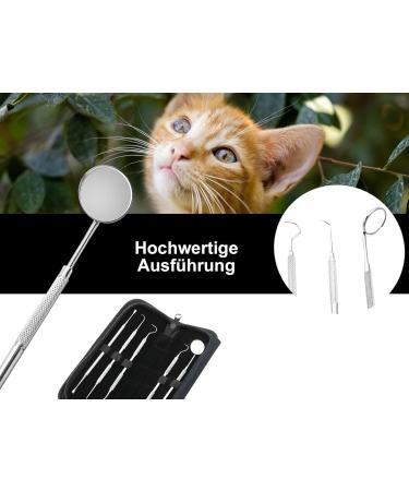 Premium Dog Tartar Remover Set | Stainless Steel Tooth Cleaner for Pets | Scaler & Toothbrush Replacement - Buy Online on GoSupps.com