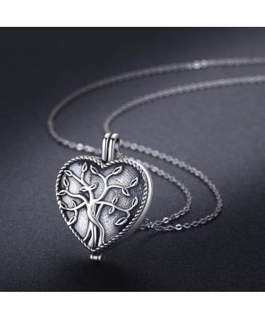 925 Sterling Silver Urn Pendants - Memorial Jewelry for Ashes | Syllable Roses Dragonfly Moonstone Heart - Perfect for Women & Moms - Buy Online on GoSupps.com