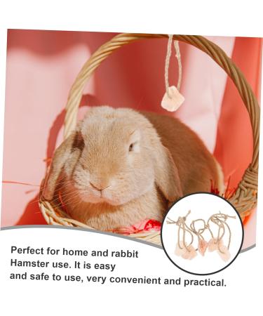 KONTONTY 5pcs Cattle Salt Lick Practical Rabbit Salt Animals Salt Small Pets Lick Salt Rope - Buy Online on GoSupps.com