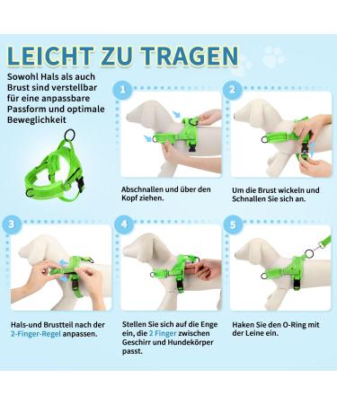 Eyein No-Pull Dog Harness with Leash - Soft Padded Reflective & Adjustable for Puppies Small & Large Dogs Cats - Green XXS - Buy Online on GoSupps.com