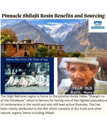 Pinnacle Premium Gold Grade Shilajit Resin 100% Himalayan Shilajit from Gilgit Baltistan Potent Natural Energy Focus & Immune Support Ancient Ayurvedic Vitality Supplement - 30g 1.06 Ounce (Pack of 1) - Buy Online on GoSupps.com