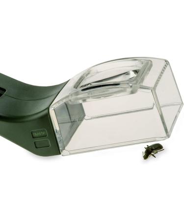 Carson BugView Quick-Release Bug Catching Tool and Magnifier - Ideal for Children and Adults - Kids Bug Catcher 1 - Buy Online on GoSupps.com