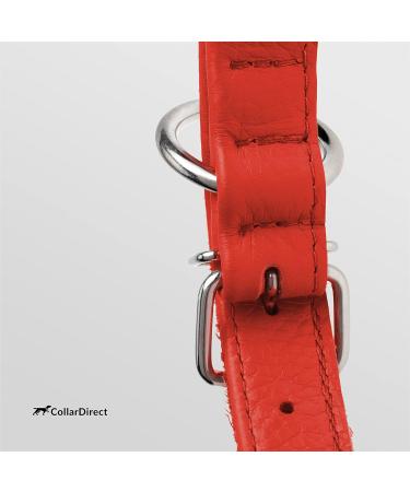 Collardirect Handmade Round Leather Dog Collar - Soft Padded Real Leather for Small & Big Dogs - Available in Black Pink Red Purple Blue (15-18 cm) - Buy Online on GoSupps.com