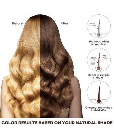 Hair Dye Shampoo Long Lasting Hair Instant Dye Shampoo Instant Hair Dye Shampoo Natural Hair Color Shampoo for Gray Hair Black Hair Dye Shampoo 2 in 1(Black) - Buy Online on GoSupps.com