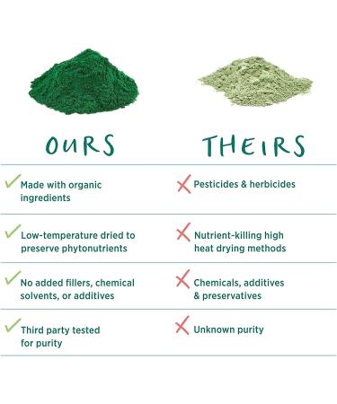 Pure Synergy Blue-Green Algae 90 Capsules - Premium Nutritional Supplement - Buy Online on GoSupps.com