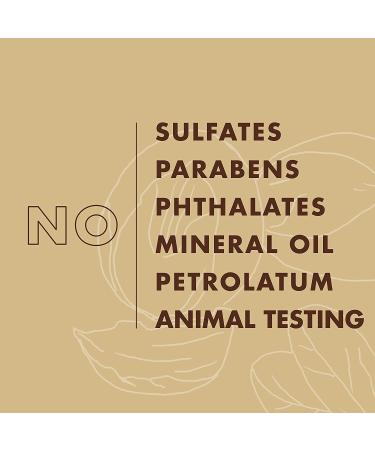 SheaMoisture Deep Treatment Masque - Raw Shea Butter 12 oz | Intense Hydration & Repair - Buy Online on GoSupps.com