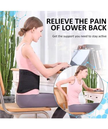 Hameisen Back Brace for Lower Back Pain Relief - Adjustable Support for Herniated Disc, Sciatica, Scoliosis - Lightweight & Breathable Mesh with Lumbar Pad - Men & Women (Size: M S/M) - Buy Online on GoSupps.com