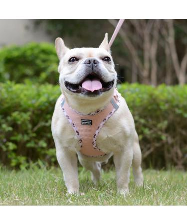Doramio Small Dog Harness with Leash - Reflective Breathable Step-In Safety Harness for Small Dogs & Cats - Champagne (S) - Buy Online on GoSupps.com