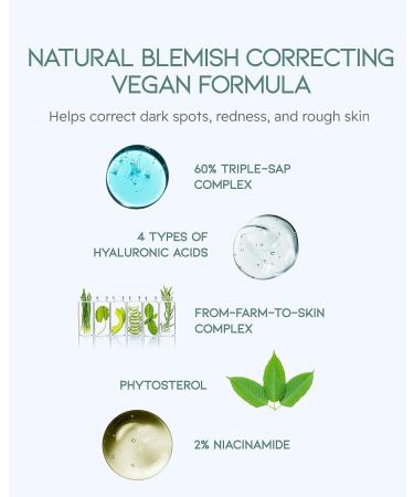 BEYOND Phyto Aqua Repair Face Serum - Vegan Korean Skincare for Clear & Hydrated Skin with Hyaluronic Acid & Niacinamide | 1.35 fl oz - Buy Online on GoSupps.com