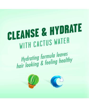 Batiste Waterless Cleansing Foam No Rinse Shampoo Cleanse + Hydrate with Cactus Water 125-ml Batiste Waterless Cleansing Foam Cleanse + Hydrate with Cactus Water 125mL - Buy Online on GoSupps.com