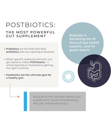 Gut Health Supplement 250 Caps - Butyrate + Calcium + Magnesium | The Ultimate Postbiotic | No Bloating | No Gas | Great Poops | Supports Healthy Digestion | Leaky Gut Repair | No Filler or Additives by BodyBio - Buy Online on GoSupps.com