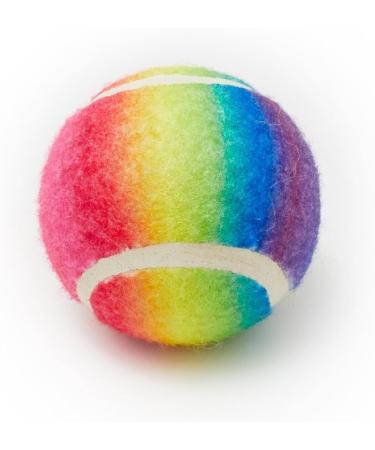 Dog Birthday Party Set - 6-Piece Happy Bday Celebration Pack with Toys, Crown, Party Hat, and Bandana (Large) - Buy Online on GoSupps.com