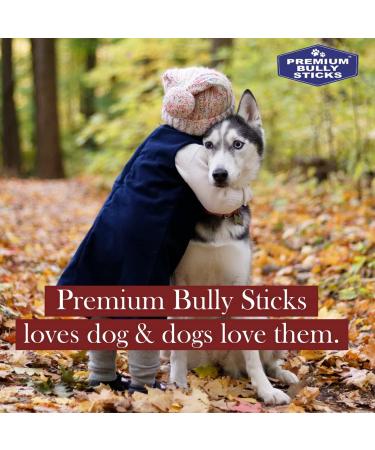 Premium Bully Sticks for Dogs/Chien | 6" Dog Chews | 20 Treats 300g | 100% Beef Puppy Chew | Natural Odor All Natural No preservatives Large Dental Pet Food from Canada 20 Count (300g) - Buy Online on GoSupps.com