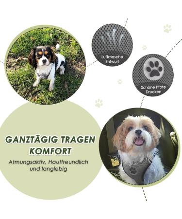 Eyin Dog Harness with Seat Belt - Adjustable Breathable 2 Carabin Hooks - Ideal for Car Safety (Gray XS) - Buy Online on GoSupps.com