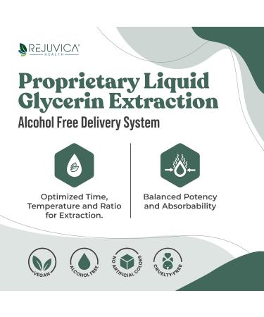 Rejuvica Health Active Holy Basil 4oz XL Super Size - Advanced Stress Support Supplement Drops - Holy Basil Leaves Liquid Extract - Vegan Sugar Free Non GMO Tincture 4 Fl Oz (Pack of 1) - Buy Online on GoSupps.com