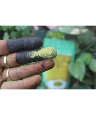 Sugandh Mehndi Luxury Henna Powder 5 times filtered Pure Henna Powder/Lawsonia Inermis For Body Art | Hair Care | Hair Color | No Ppd No Chemicals No Parabens 1Kg - Buy Online on GoSupps.com