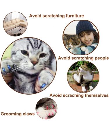 JOYJULY 100pcs Cat Nail Caps Pet Cat Claw Kitty Caps Control Soft Paws of 5 Different Colorful Nail Covers for Cats+ 5 Adhesive Glue+3 Applicator with Instruction Small S - Buy Online on GoSupps.com