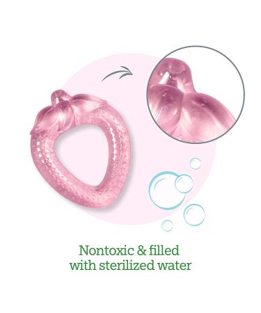 Green Sprouts Strawberry Cooling Teether for 3+ Months - Soothing Relief for Babies - Buy Online on GoSupps.com
