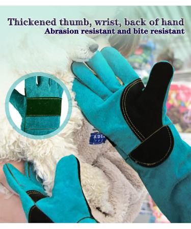 Animal Handling Gloves | Bite Resistant Protection for Dogs, Cats, Birds, Snakes, and Reptiles - Blue - Buy Online on GoSupps.com