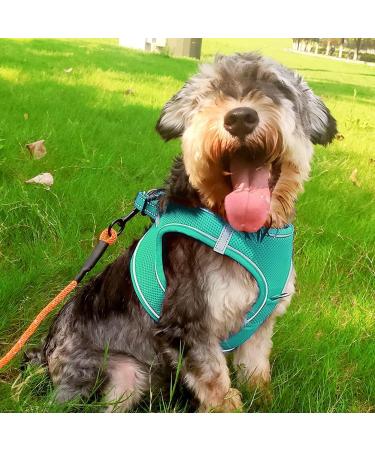 Joyal Dog Harness | Reflective Soft Padded Air-Mesh Harness for Small & Medium Dogs | Turquoise L (47-55cm) - Buy Online on GoSupps.com