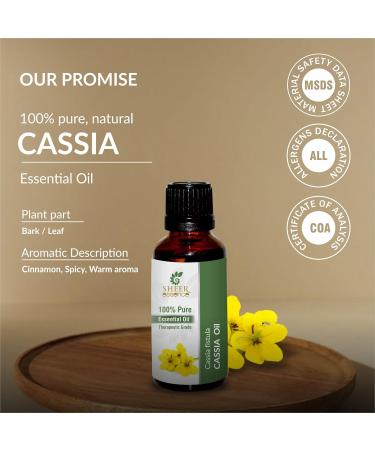 Cassia Oil 100% Pure Undiluted Natural Uncut Therapeutic Grade Steam Distilled Essential Oils for Skin Hair and Aromatherapy 250ML - Buy Online on GoSupps.com