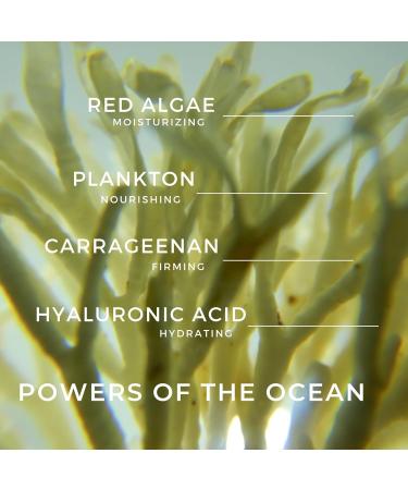 Georgette Klinger Sea Extracts Moisturizer - Long-Lasting Hydration Rich and Nourishing Face Cream Infused with Natural Anti-Aging Ingredients Marine Extracts and Hyaluronic Acid - 1.7 oz - Buy Online on GoSupps.com