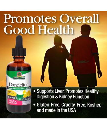 Nature's Answer Dandelion Root Extract 2 Fl Oz | Organic Alcohol | Liver Support & Healthy Digestion - Buy Online on GoSupps.com