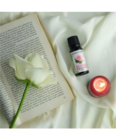 Aromaforce Rose Absolute Essential Oil | 5% blend in Jojoba Oil | Balance moisture levels in the skin and even skin tone | 15mL | Ready to Use - Buy Online on GoSupps.com