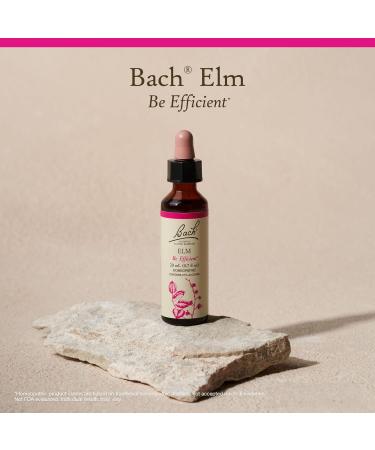 Bach Original Flower Remedies Elm - Be Efficient - Natural Homeopathic Flower Essence for Emotional Balance - Vegan Gluten Free Sugar Free - 20mL Dropper - Buy Online on GoSupps.com