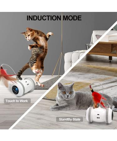 Nueplay Interactive Cat Toys with LED Light | Smart Electric Toy for Indoor Cats | USB Rechargeable Robotic Toy with Feathers | 2 Modes for Pet Exercise - Buy Online on GoSupps.com